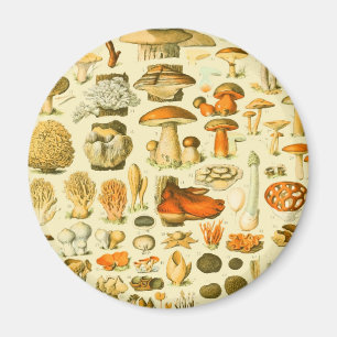 Pilz Vintage Fliegenpilz Antike Kunst Magnet
