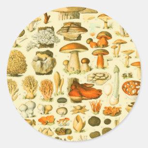 Pilz Vintage Fliegenpilz Antike Kunst Runder Aufkleber