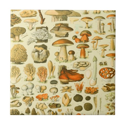Pilz Vintage Toadstool Antike Kunst Fliese (Vorderseite)