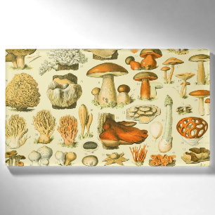 Pilz Vintage Toadstool Antike Kunst Namenschild