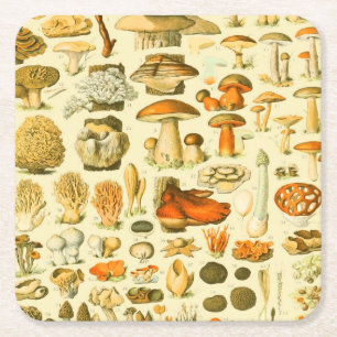 Pilz Vintage Toadstool Antike Kunst Rechteckiger Pappuntersetzer