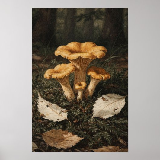 Pilz-Wald-Cottagecore-Kunstposter Poster (Vorne)