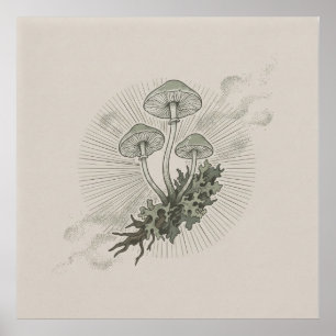 Pilz & Waldmyzel Poster