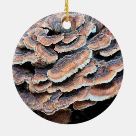 Pilz-Weihnachtsverzierung Keramikornament (Hinten)