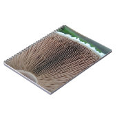 Pilz-Zeitschrift Notizblock (Linke Seite)