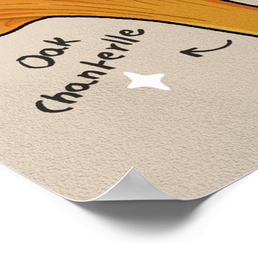 Pilzarten Poster (Ecke)