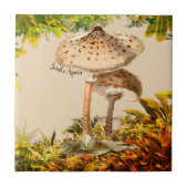 Pilzarten Schlange Agaric | Fliese (Vorderseite)