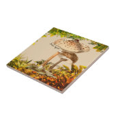 Pilzarten Schlange Agaric | Fliese (Seite)