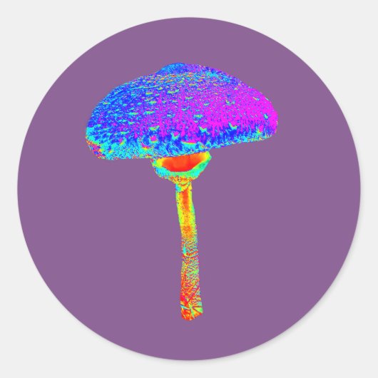 Pilzaufkleber Runder Aufkleber (Vorderseite)