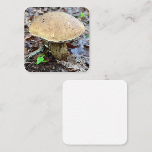 Pilzbehandlungskarte Mitteilungskarte (Vorne/Hinten)