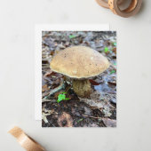 Pilzbehandlungskarte Mitteilungskarte (Vorderseite/Rückseite Beispiel)