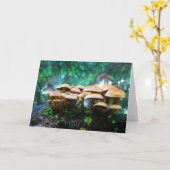 Pilzdorf Karte (Gelbe Blume)