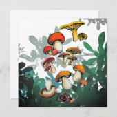 Pilze (Vorne/Hinten)