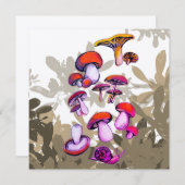 Pilze (Vorne/Hinten)