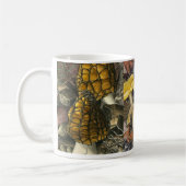 Pilze 2 kaffeetasse (Links)
