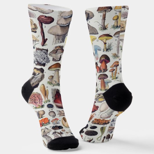 Pilze 2 socken (Gewinkelt)