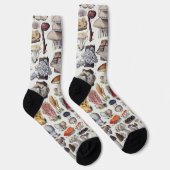 Pilze 2 socken (Rechts)