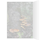 Pilze - 5" x 7" Art Card (Innen (Links))