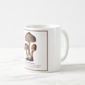 Pilze #6 kaffeetasse (VorderseiteRechts)