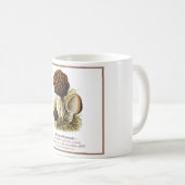 Pilze #7 kaffeetasse (VorderseiteRechts)