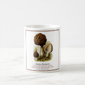 Pilze #7 kaffeetasse (Mittel)