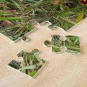 Pilze Amanita muscaria - Puzzle (Seite)