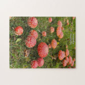 Pilze Amanita muscaria - Puzzle (Horizontal)