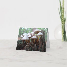 Pilze auf einem alten Stumpf Notecard Karte