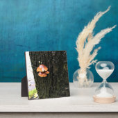 Pilze auf einem Baum, Oregon Fotoplatte (InSitu)