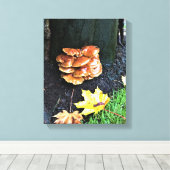 Pilze auf einem Baum, Oregon Leinwanddruck (Insitu (Holzboden))