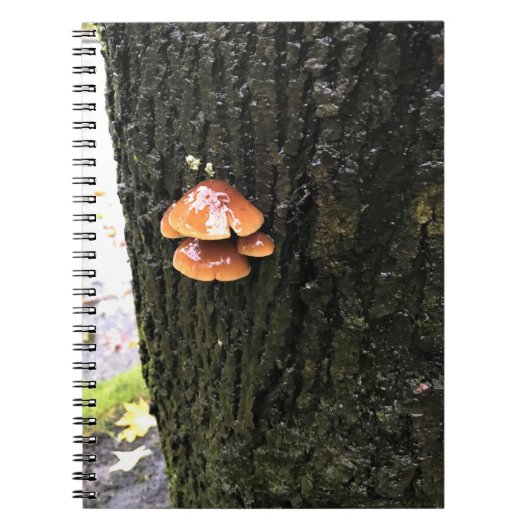 Pilze auf einem Baum, Oregon Notizblock (Vorderseite)