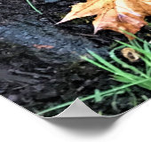 Pilze auf einem Baum, Oregon Poster (Ecke)