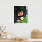 Pilze auf einem Baum, Oregon Poster (Küche)