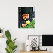 Pilze auf einem Baum, Oregon Poster (Heimbüro)