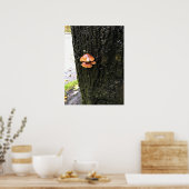 Pilze auf einem Baum, Oregon Poster (Küche)