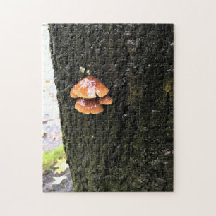Pilze auf einem Baum, Oregon Puzzle
