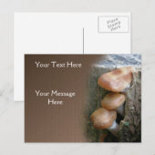 Pilze auf steiler Natur Postkarte (Vorne/Hinten)