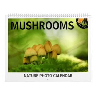Pilze aus der Natur - Fotos 2026 Kalender