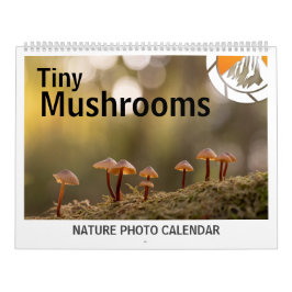 Pilze aus der Natur - Fotos 2026 Kalender