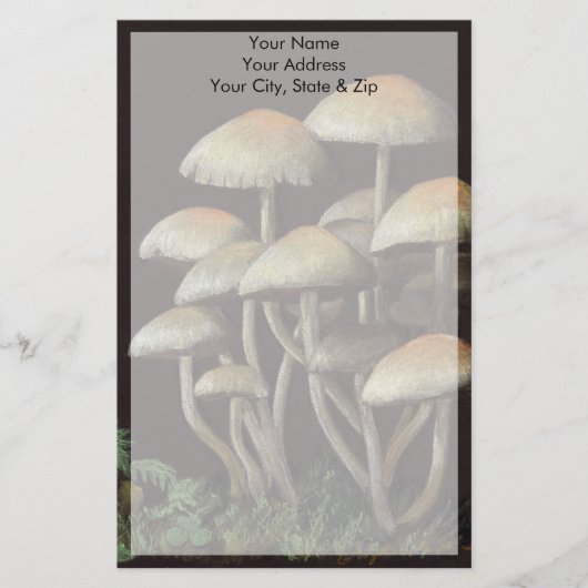 Pilze Briefpapier (Vorderseite)