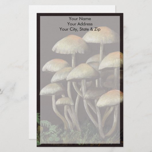 Pilze Briefpapier (Vorne/Hinten)