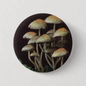 Pilze Button (Vorderseite)