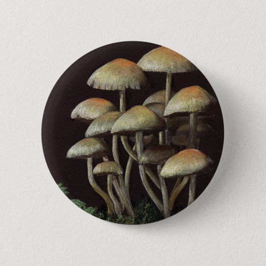 Pilze Button (Vorderseite)