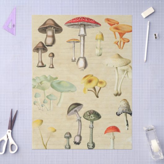 Pilze Collage Seidenpapier (Basteln)