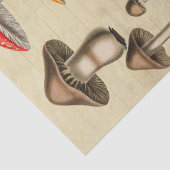 Pilze Collage Seidenpapier (Detail)