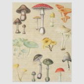 Pilze Collage Seidenpapier (Vorderseite)