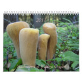 Pilze des Westerns Oregon, 2011 Kalender (Titelbild)