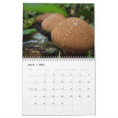 Pilze des Westerns Oregon, 2011 Kalender (Mär 2027)