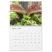 Pilze des Westerns Oregon, 2011 Kalender (Feb 2027)