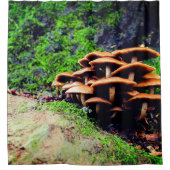 Pilze Duschvorhang (Vorderseite)